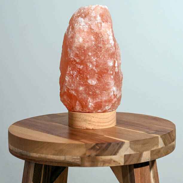 himalayan salt lamp bulbs