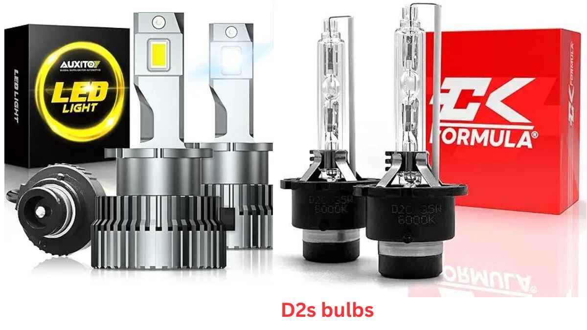 difference between D2s and D2H bulbs