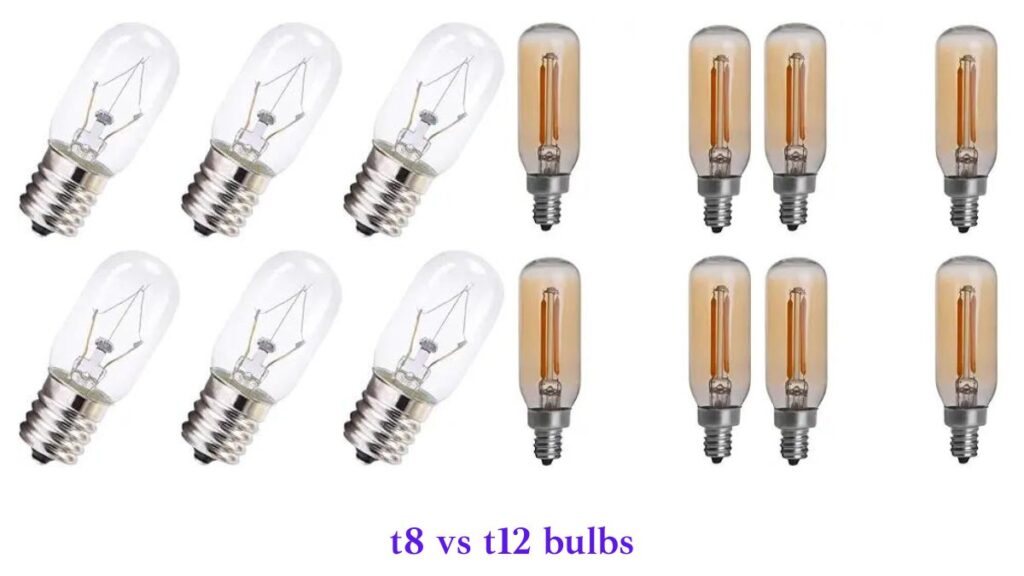 T5 vs T8 vs T12