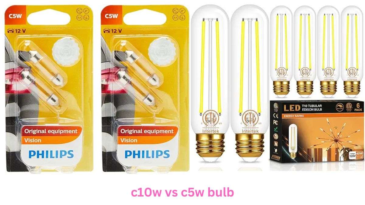 c10w vs c5w bulb