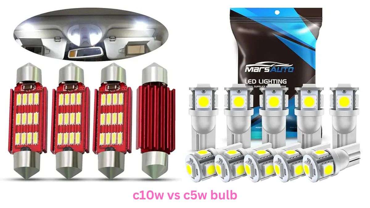 c10w vs c5w bulb