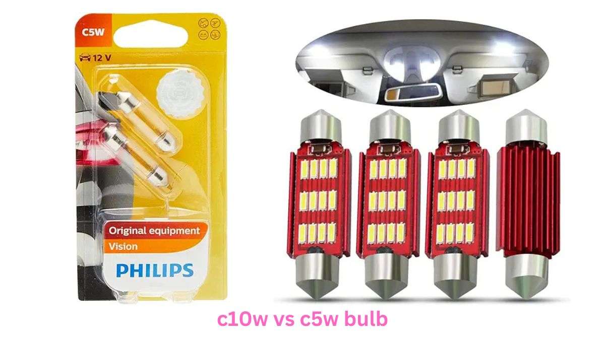 c10w vs c5w bulb