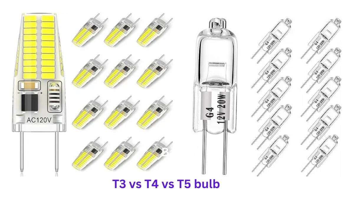 T3 vs T4 vs T5 bulbs