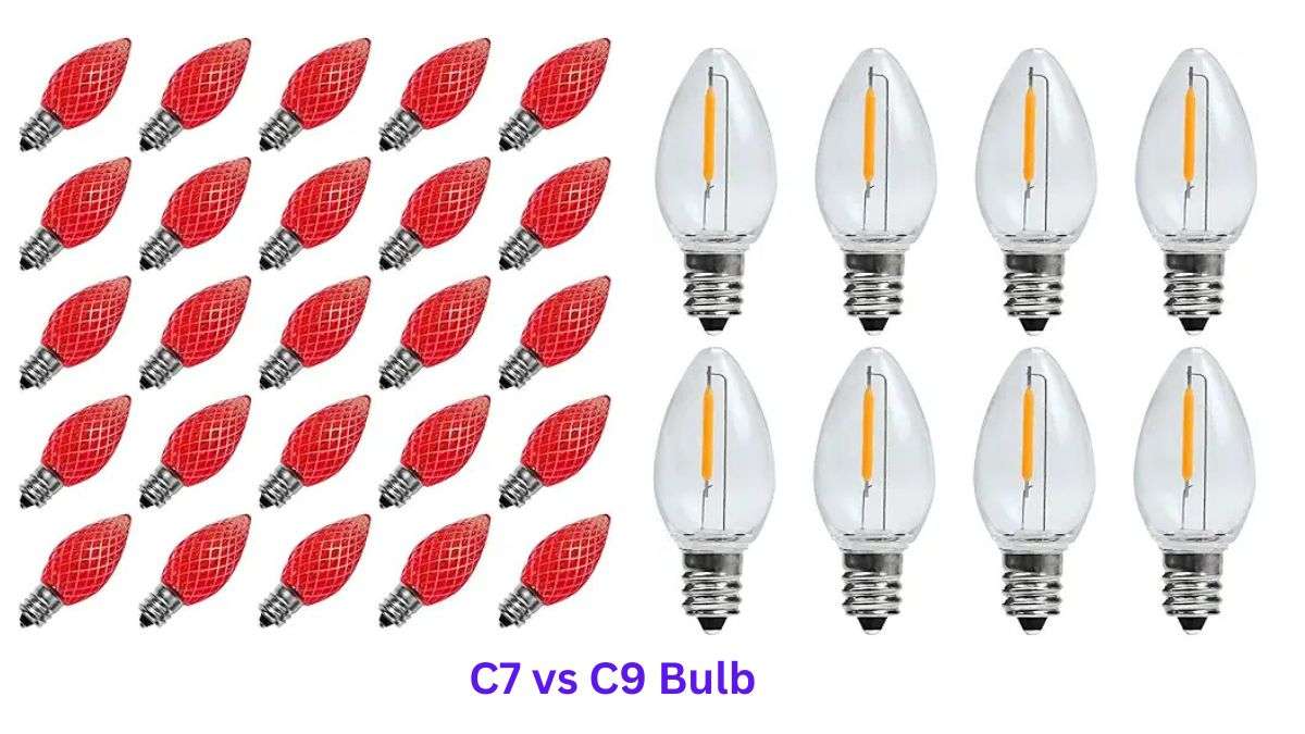 c7 vs c9 bulb