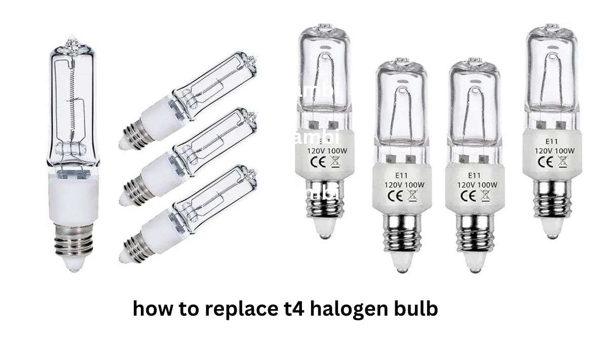 t4 vs t3 bulb