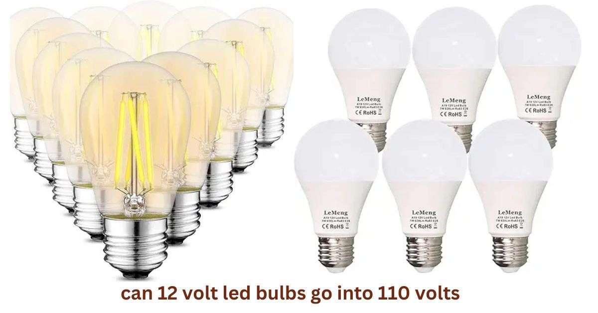 can 12 volt led bulbs go into 110 volts​