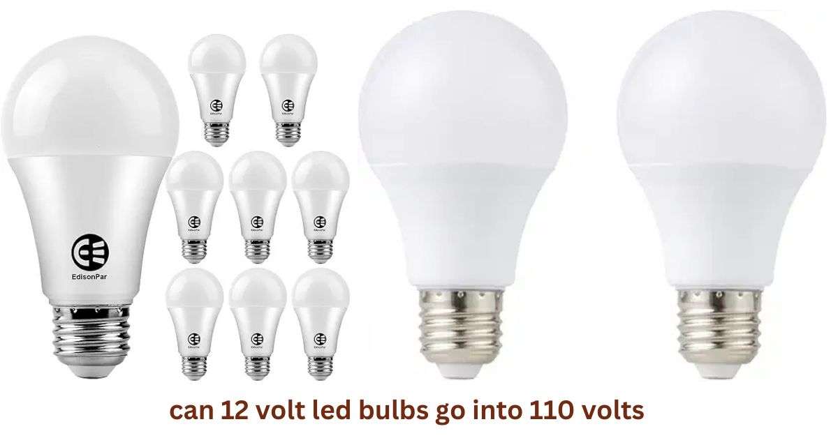 can 12 volt led bulbs go into 110 volts​