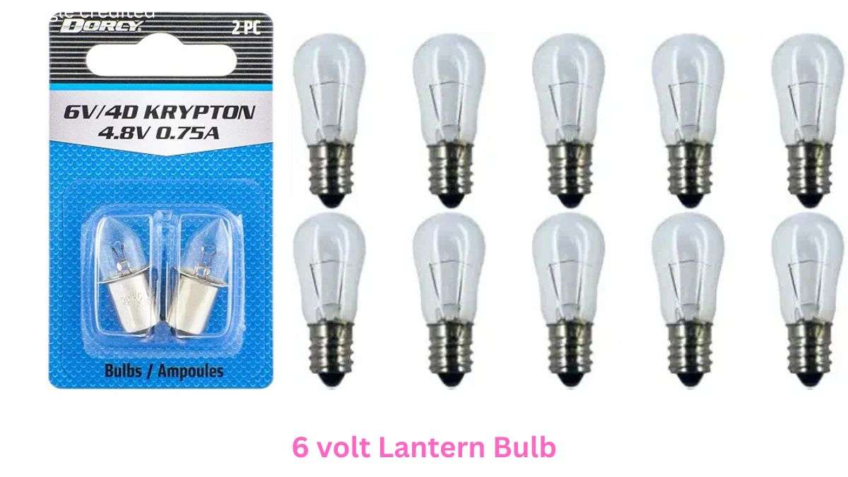 6 volt led lantern bulb replacement