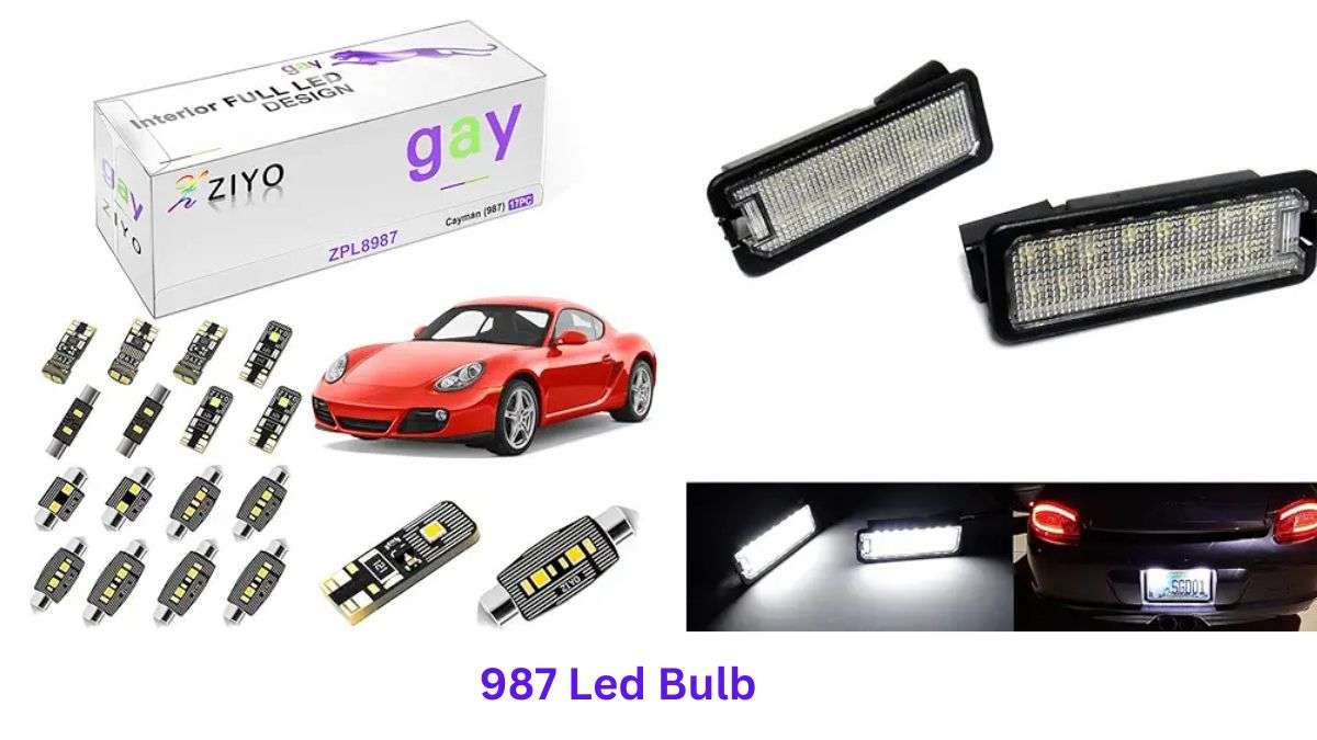 987 LED bulbs