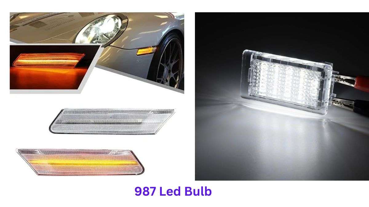 987 LED BULBS