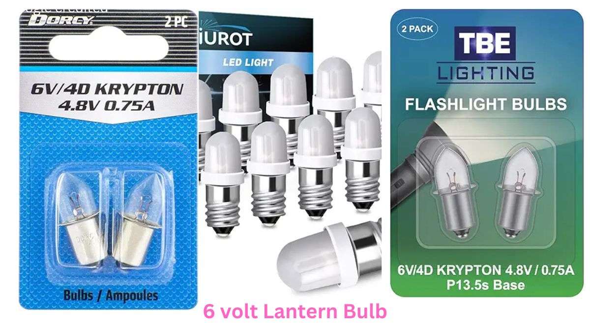 6 volt led lantern bulb replacement