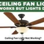 ceiling fan works but light does not