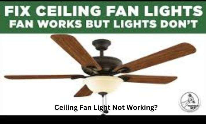 ceiling fan works but light does not